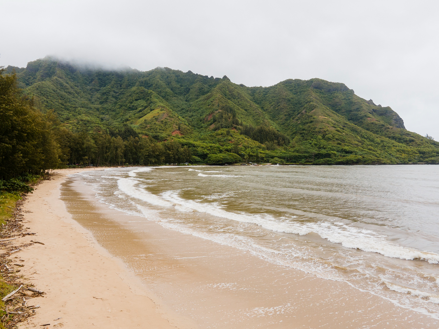 ทริปเดินป่าในฮาวาย: สำรวจความงามของธรรมชาติในหมู่เกาะสวรรค์ - Deep Hawaii